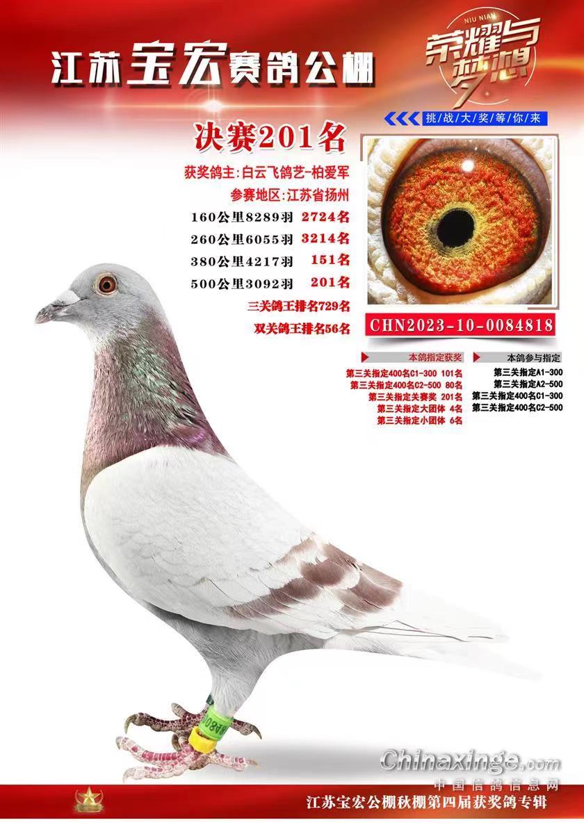 2023�꽭�ձ��깫��201��