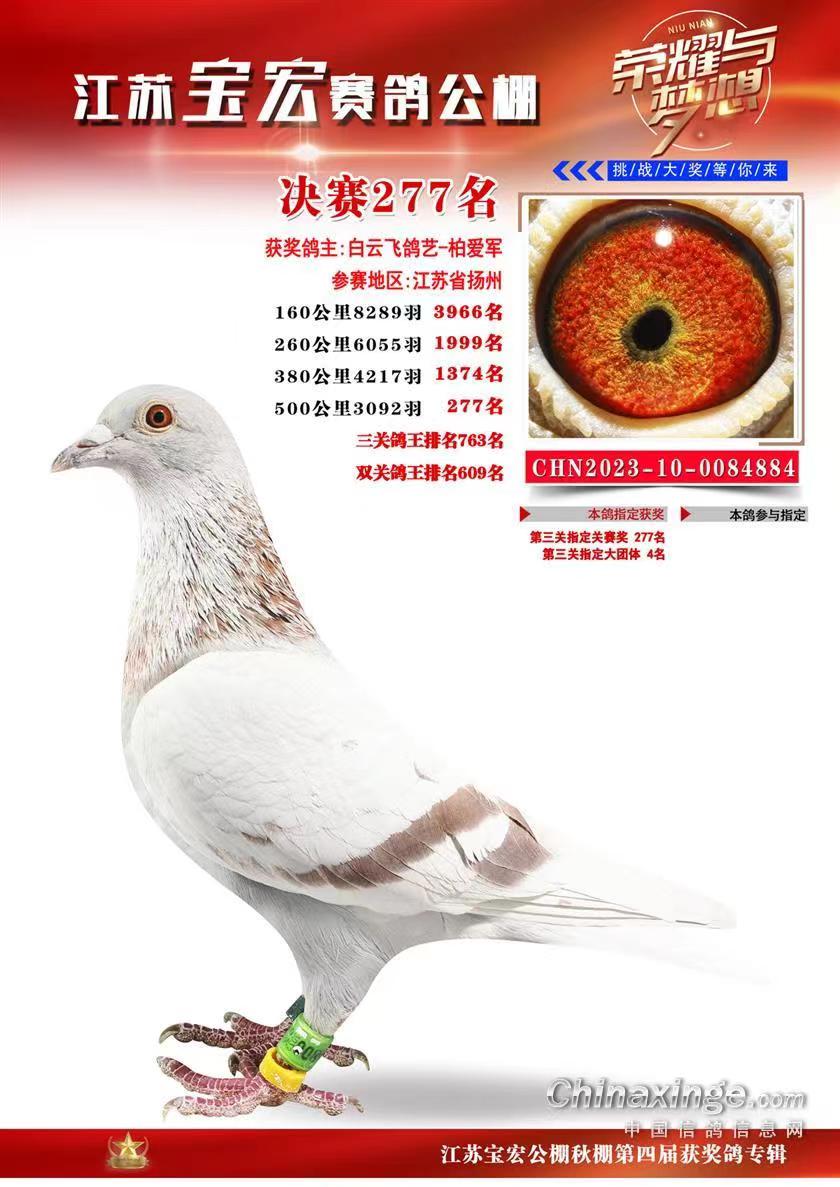 2023�꽭�ձ��깫��277��