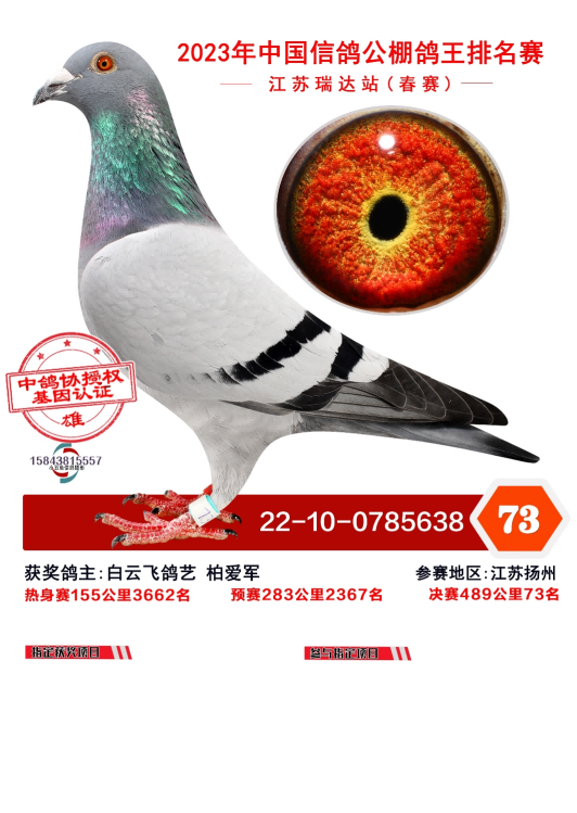 2023�꽭����ﴺ��73��