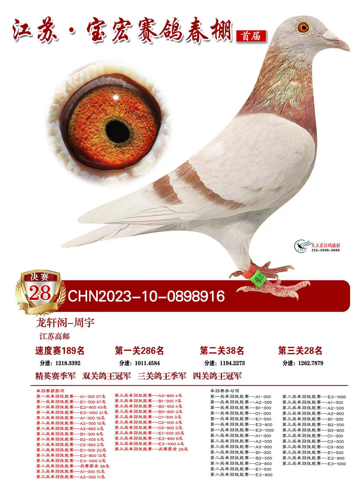 ֧Ԯ��ȥ��ֱ��������������ھ�