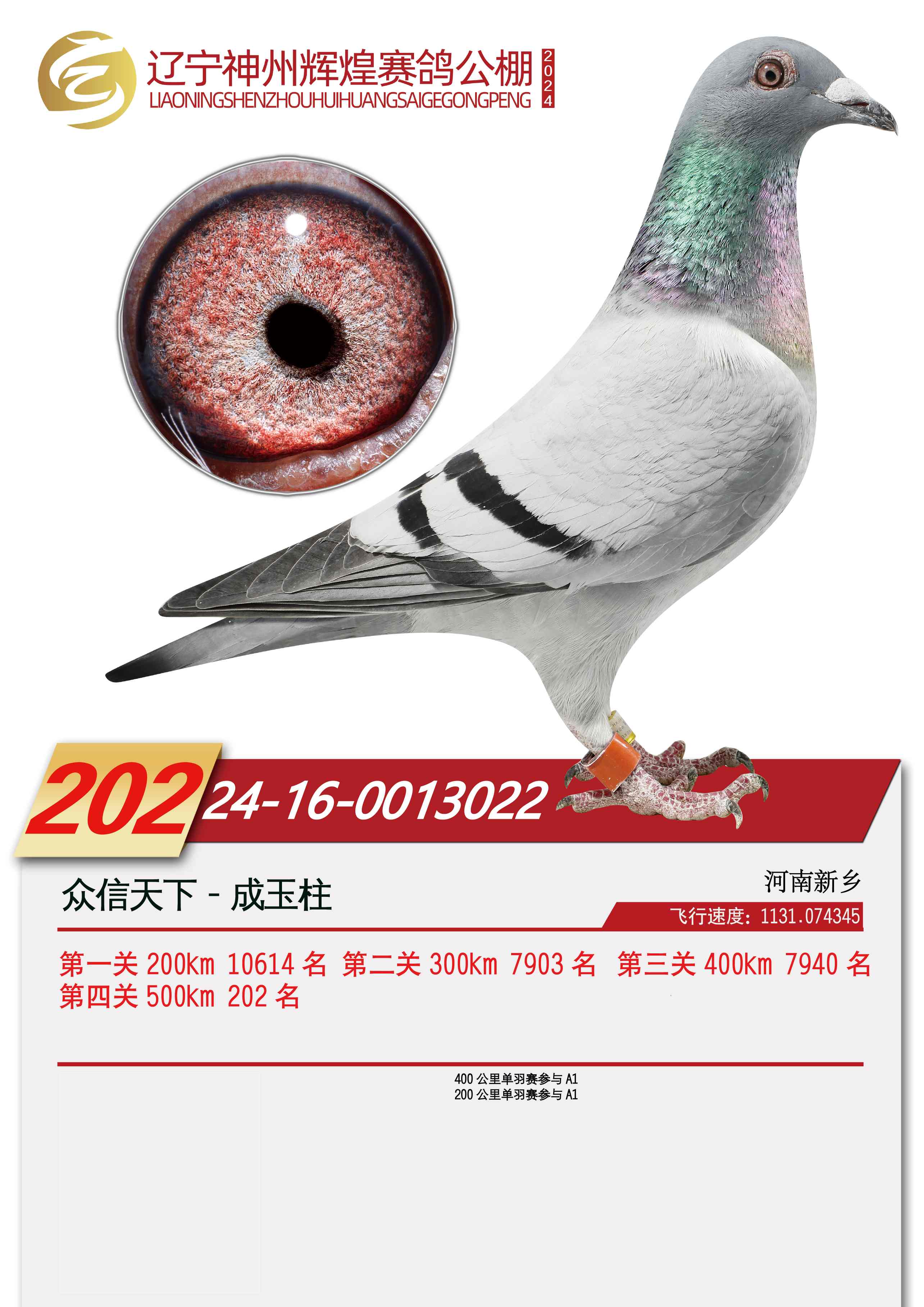 ֧Ԯ��ȥ��ֱ�������������ݻԻ�202��