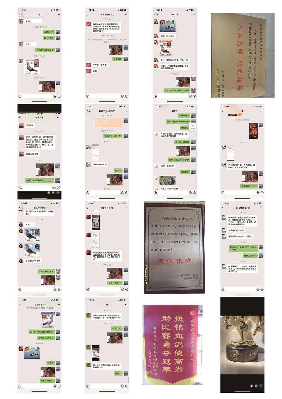 ���ѻ�΢�ŷ�����¼