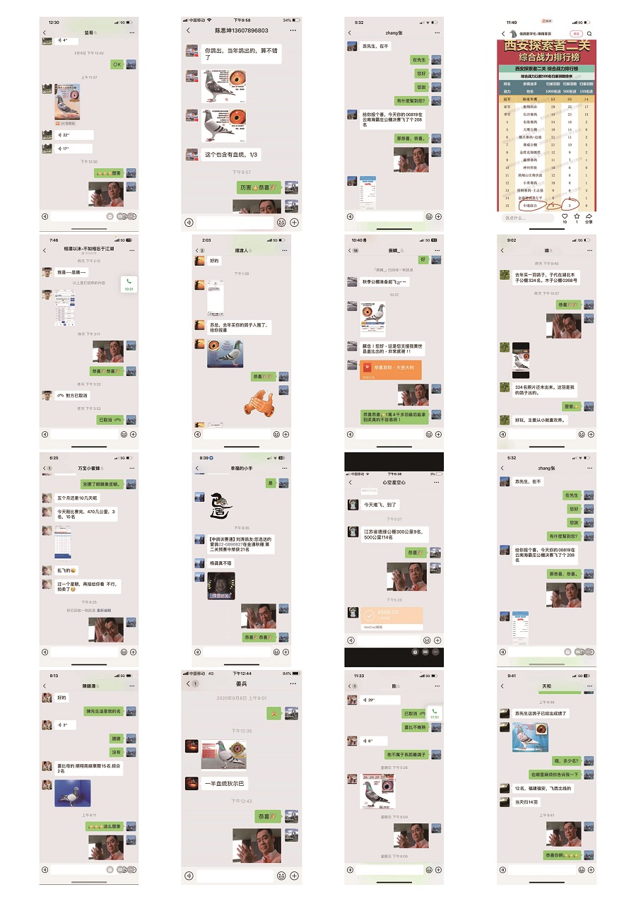 ���ѻ�΢�ŷ�����¼