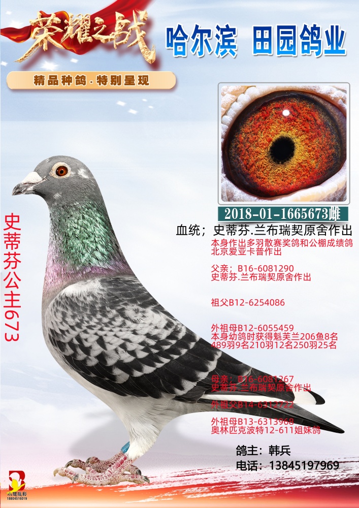 ʷ�ٷҹ���673