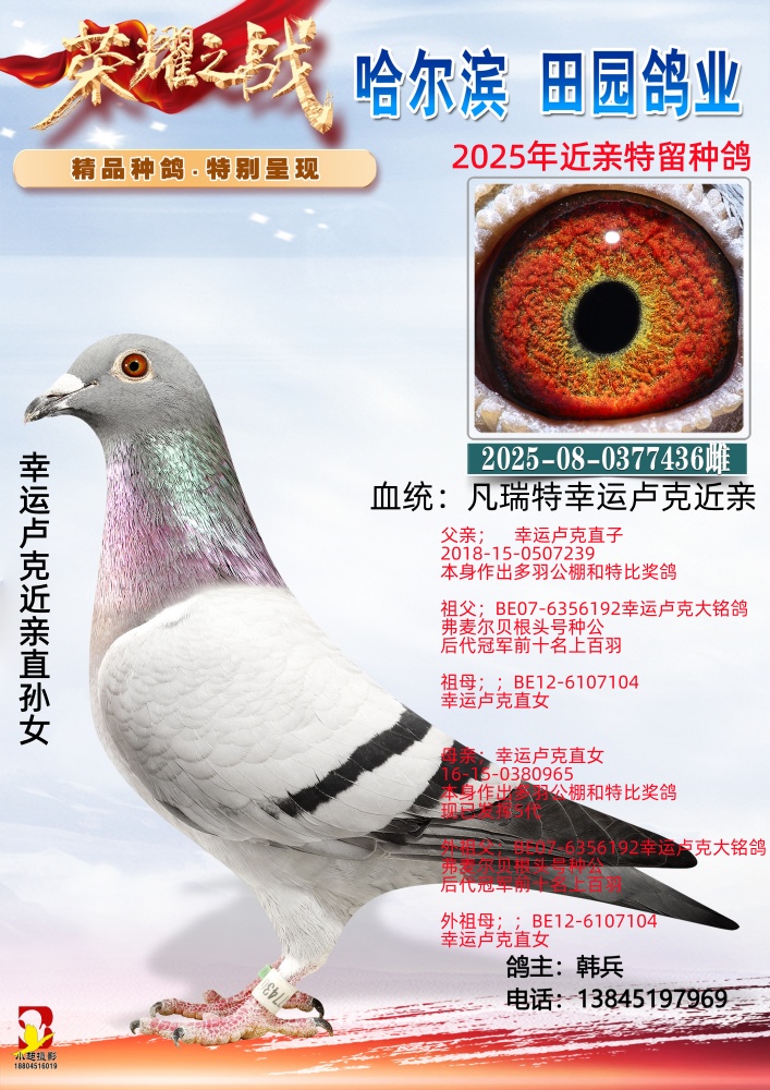 ����¬�˽���ֱ��Ů