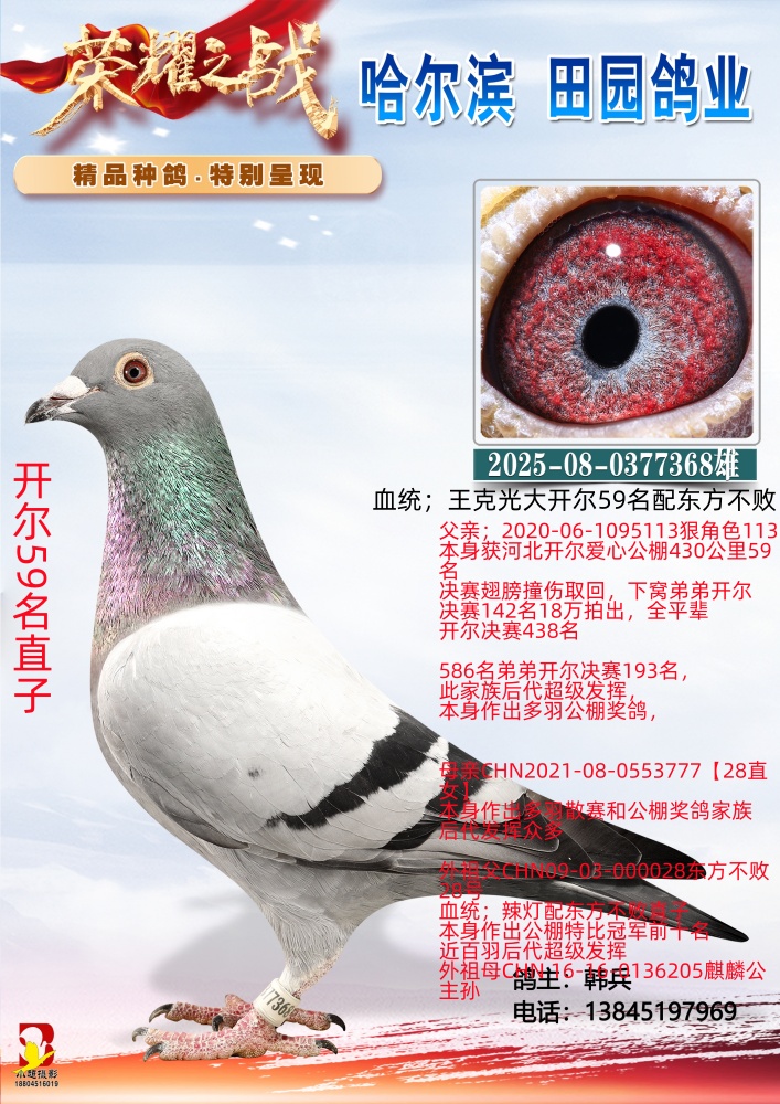 ����59��ֱ��368