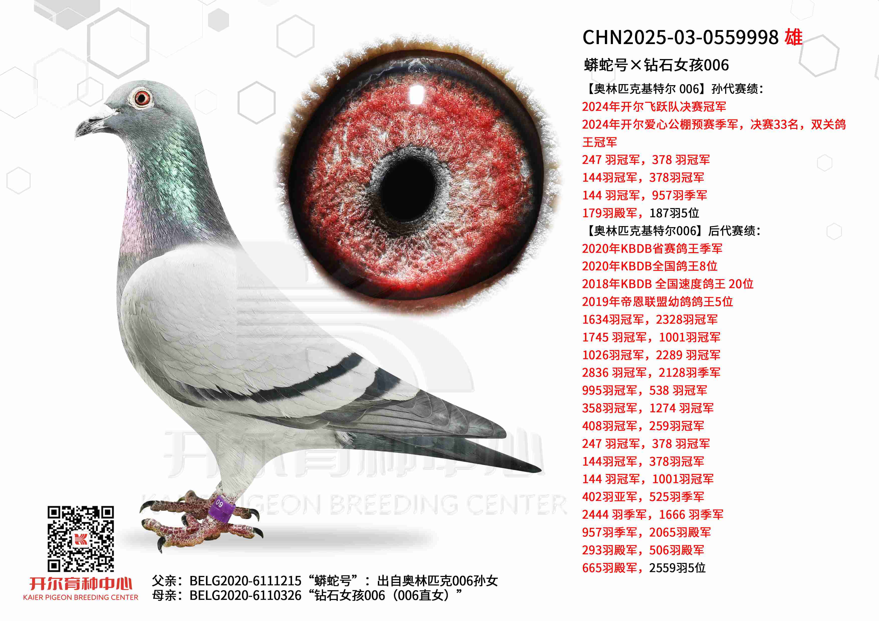 �����ߺš���ʯŮ��006������006ֱŮ