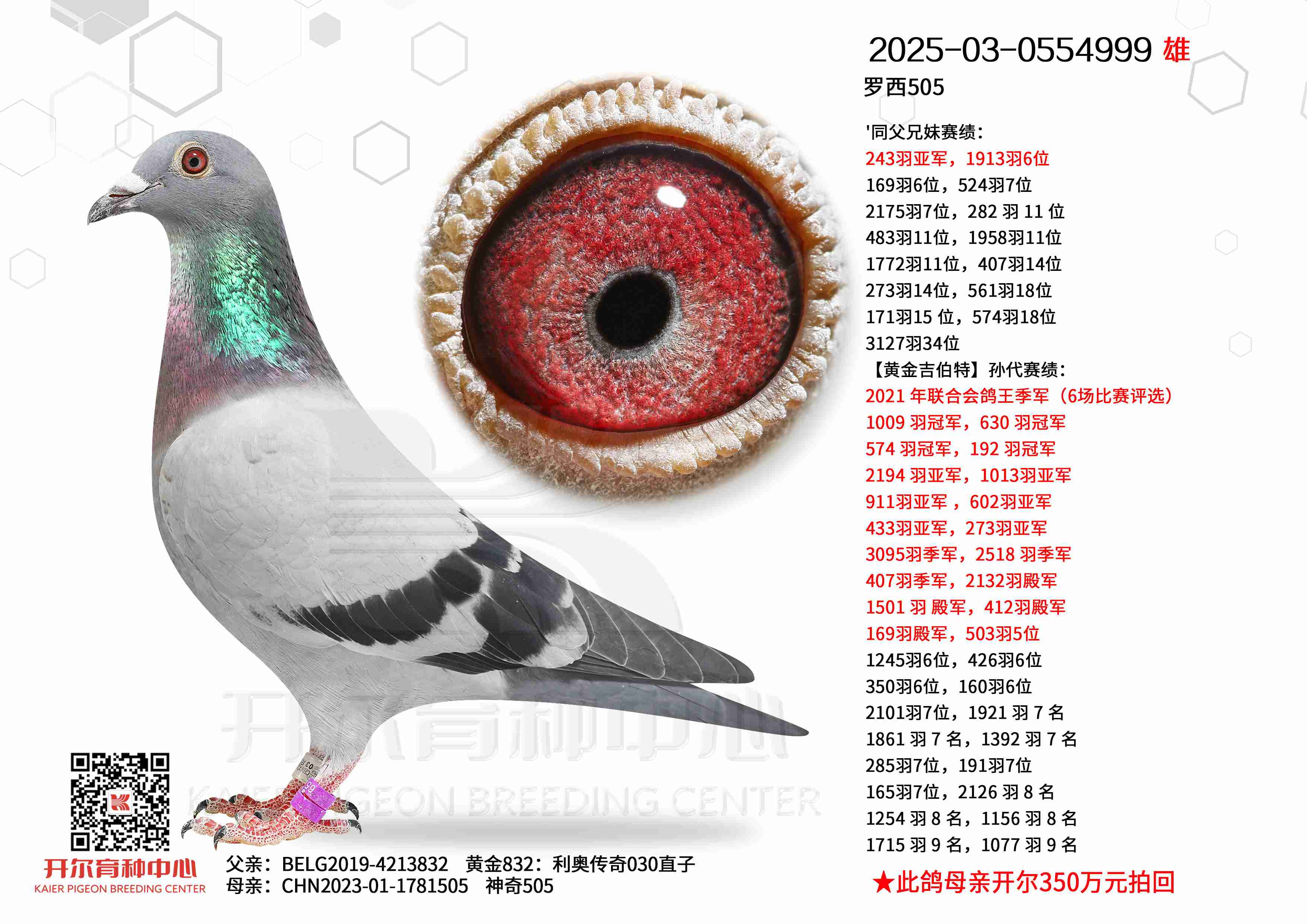 ����505������505ֱŮ