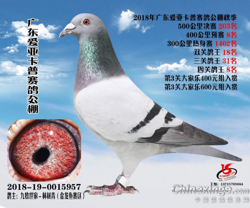 �㶫���ǿ����Ĺظ���8������8��