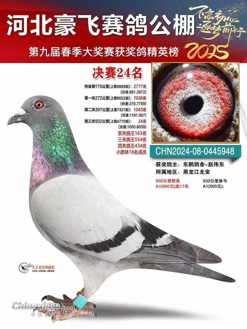 ���ɾ���24��(�ھ������������