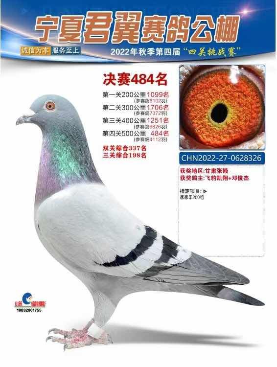 ���ľ�������484�������ֲ���