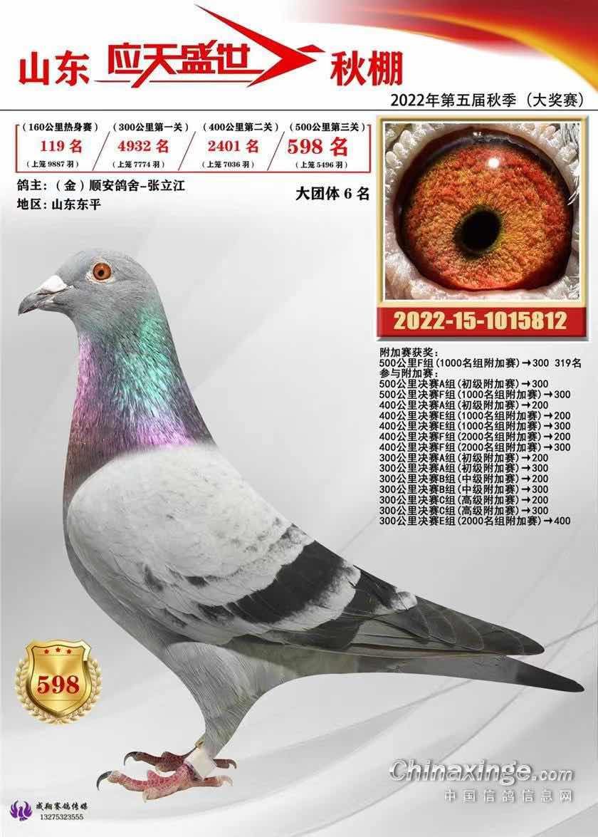 Ӧ��ʢ������598��������119��