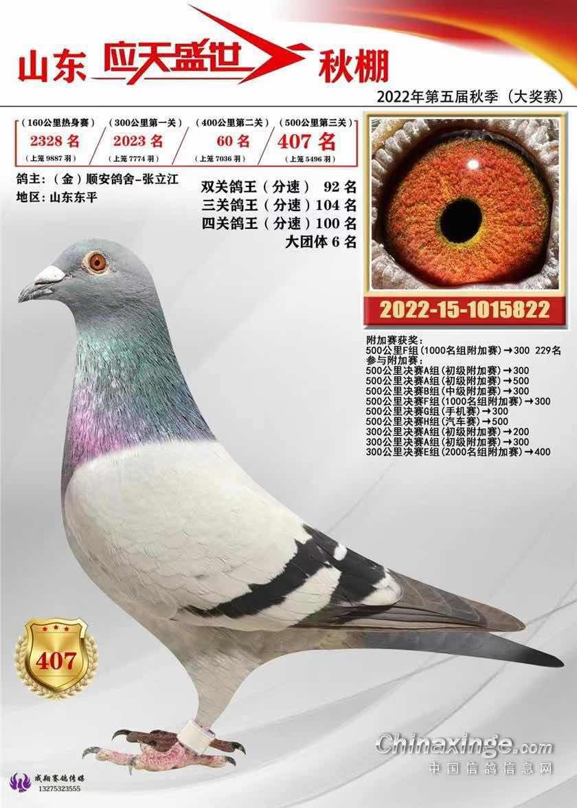 Ӧ��ʢ������60������407��