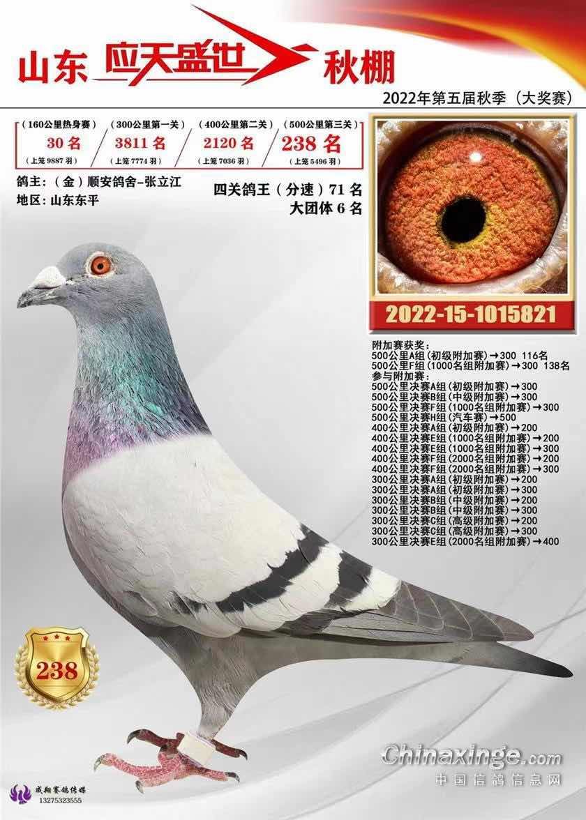 Ӧ��ʢ������238��������30��