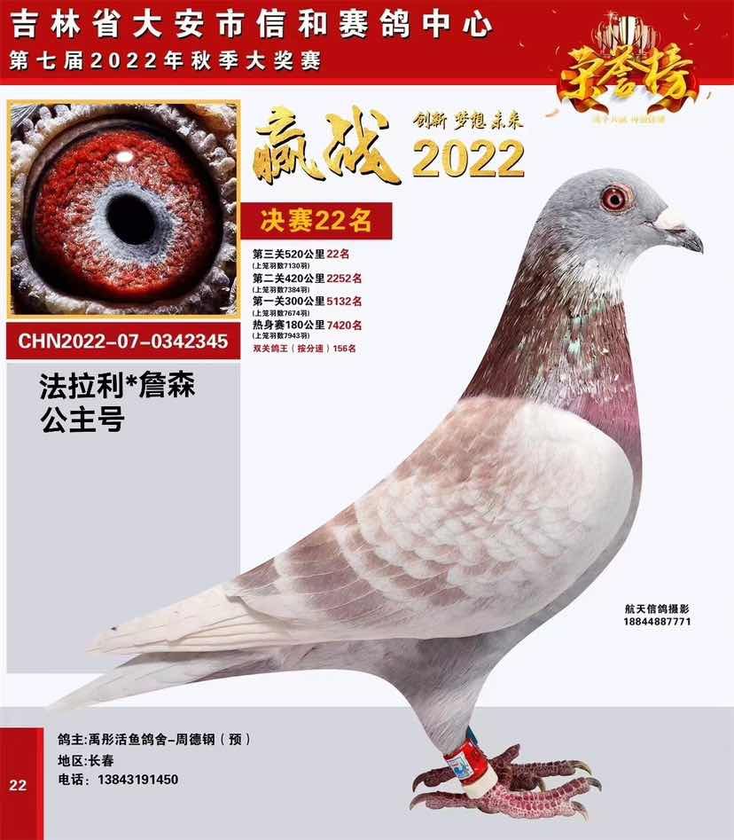 ��ɫ���������źϾ���22��