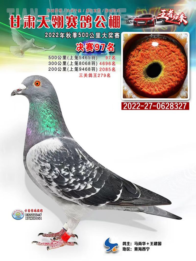 �����������97��ղɭ�ֲ���