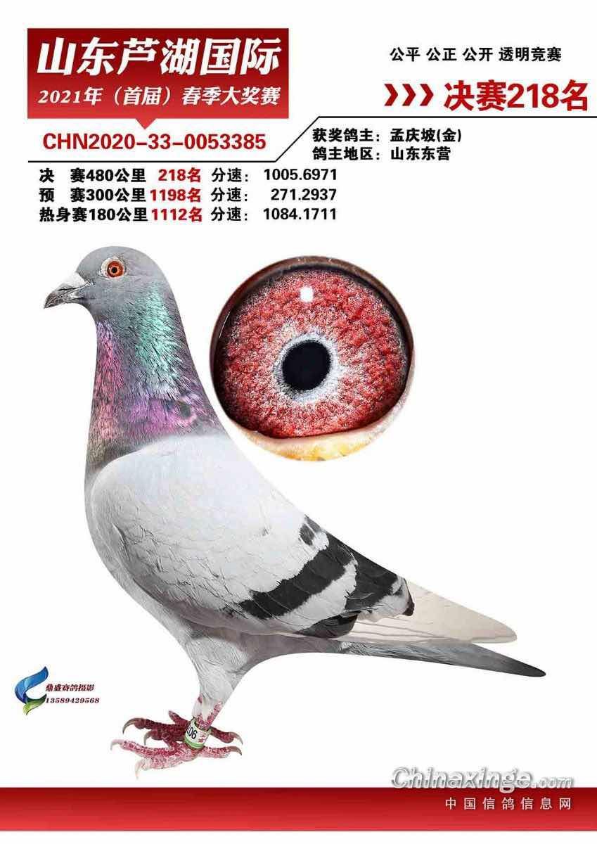 2021�괺«������218��ʨ��������