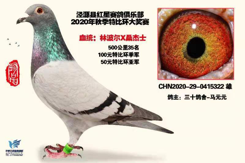 ��Դ�غ��Ǿ��ֲ���Ԫ�رȼ���50Ԫ�Ǿ�