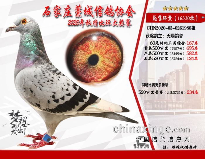 ʯ��ׯ���ظ���167���ֲ���