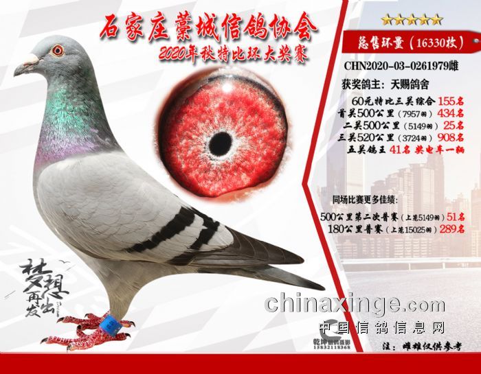 �����ۺ�155����ظ���41���ֲ���