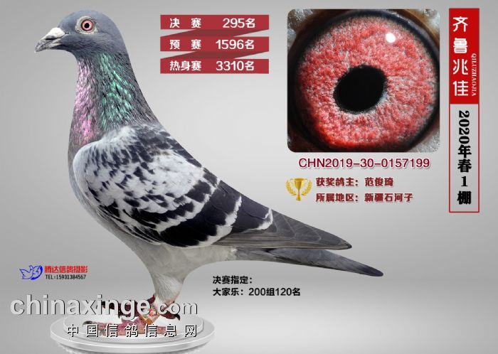 �ֲ����׼�295��