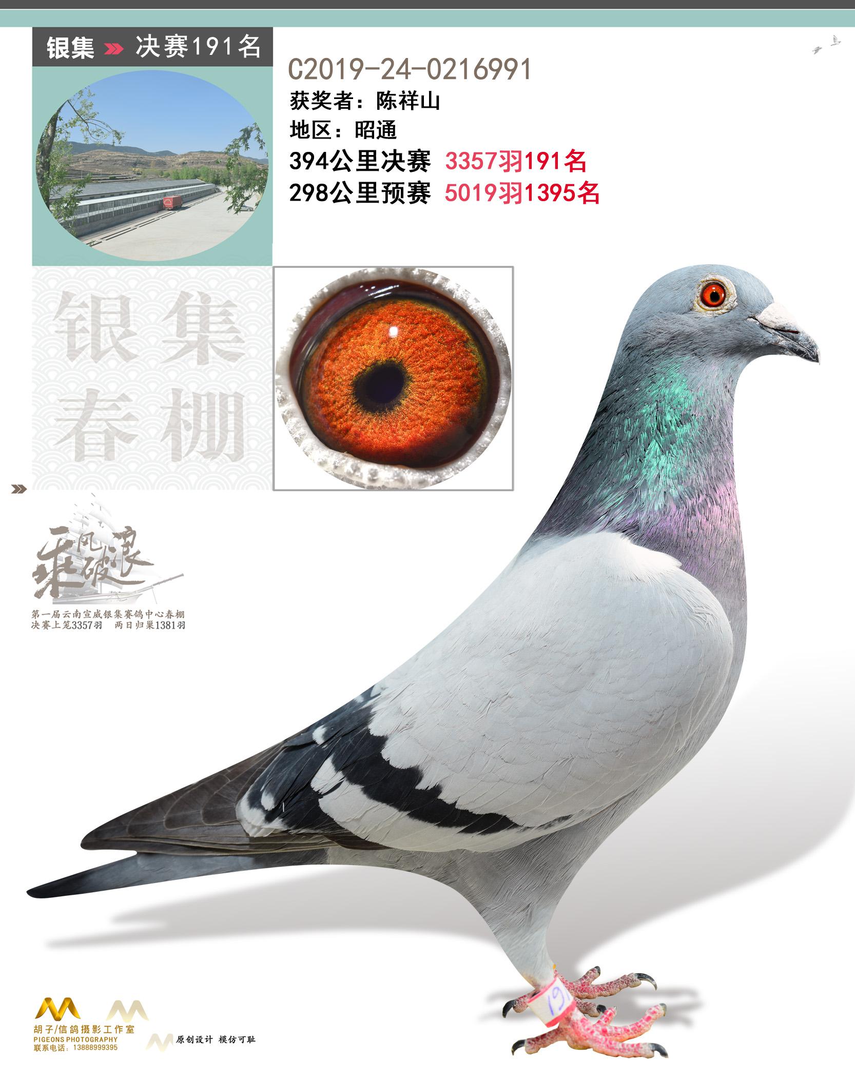 ����������������191��