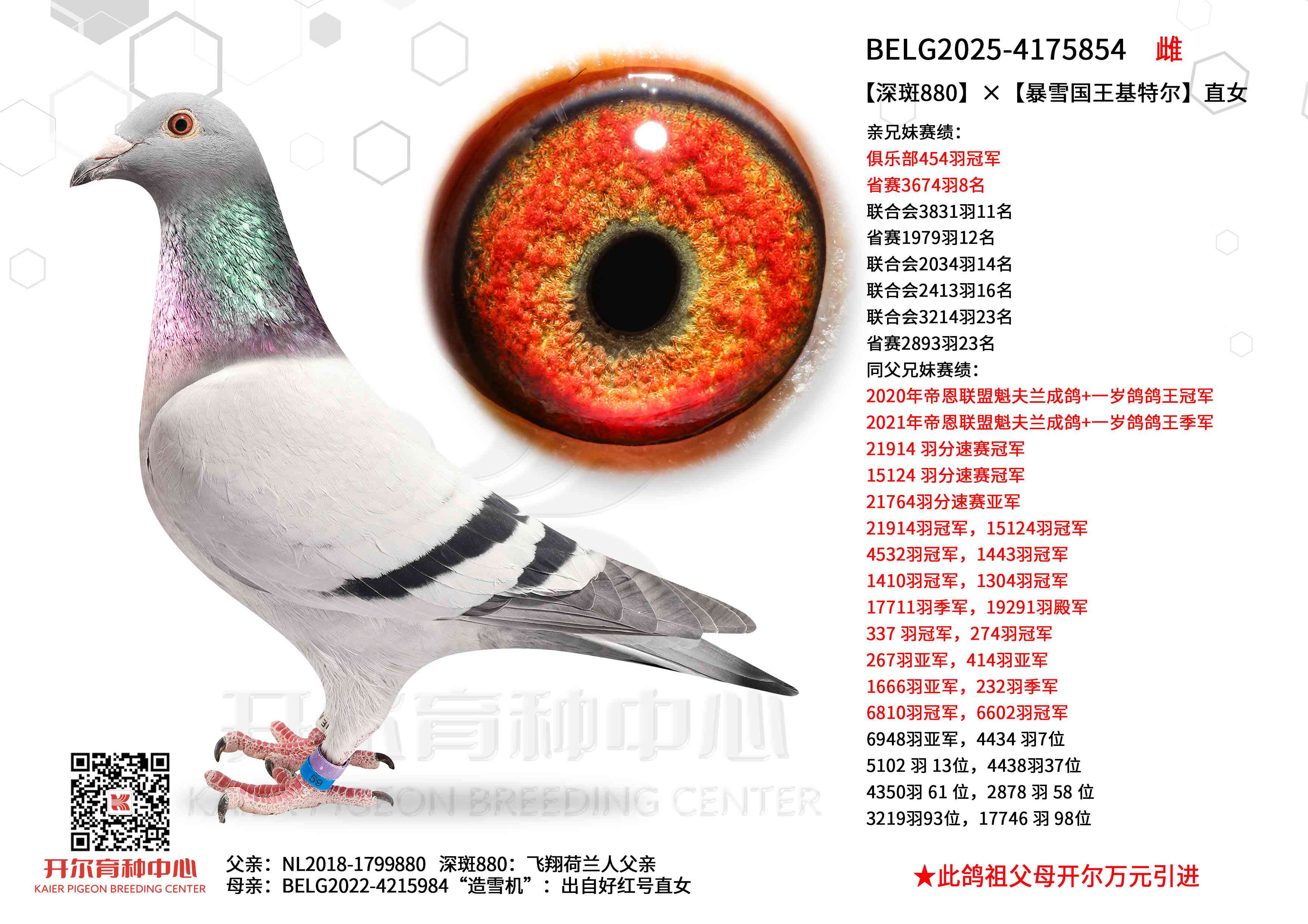 ���880����ѩ�������ض�ֱŮ