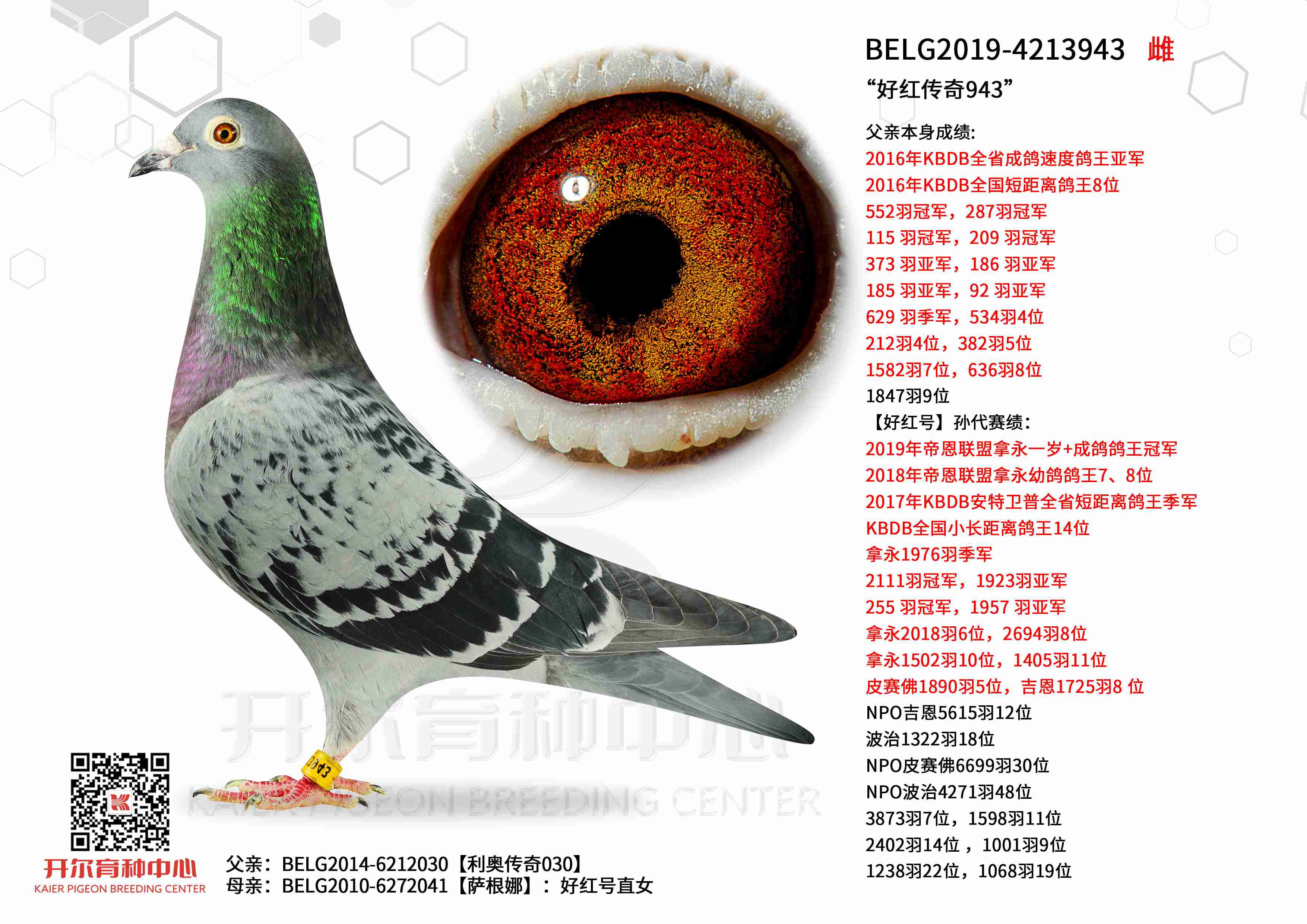 ���ú촫��943�������´���030ֱŮ