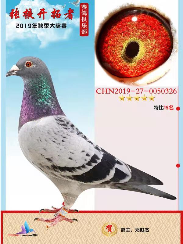 ***��Ҵ�������رȻ�15��