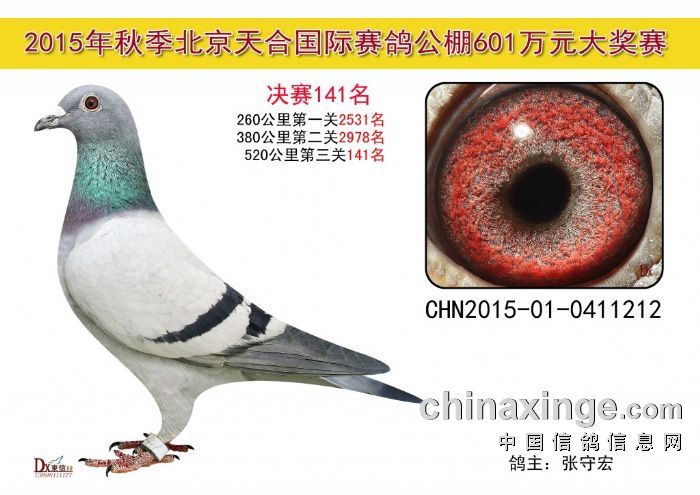 �������141��