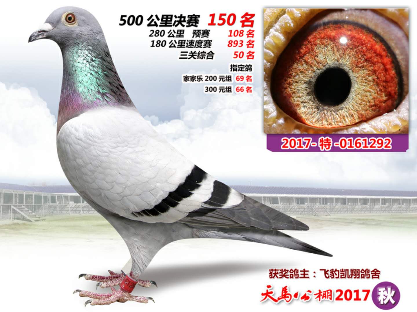 ***������������150��