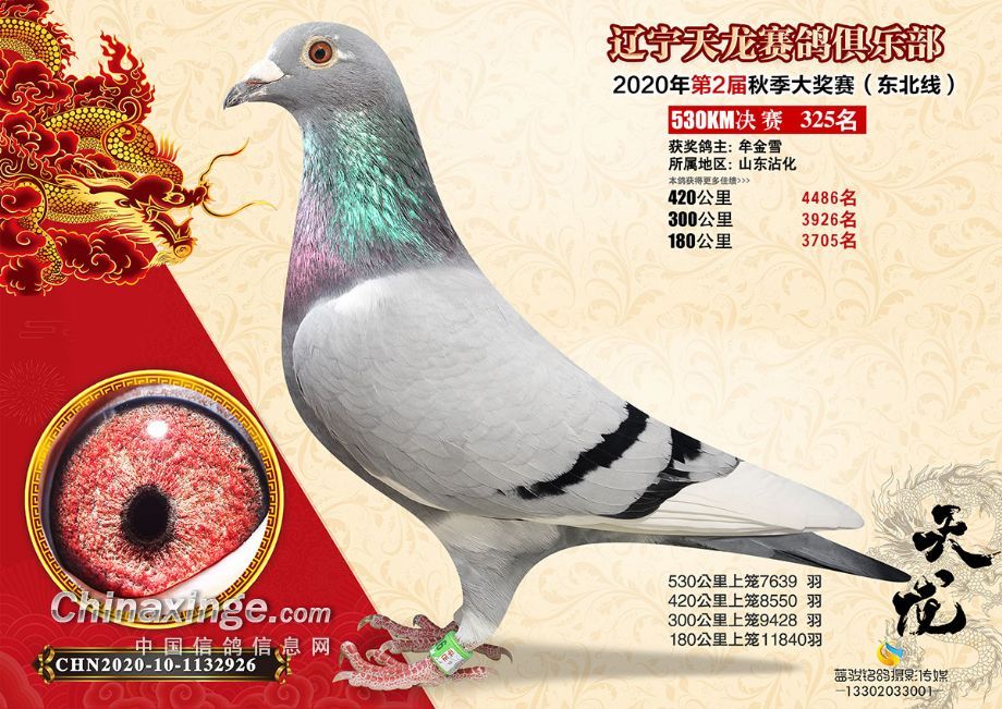 20���������ֲ�325���ֲ���