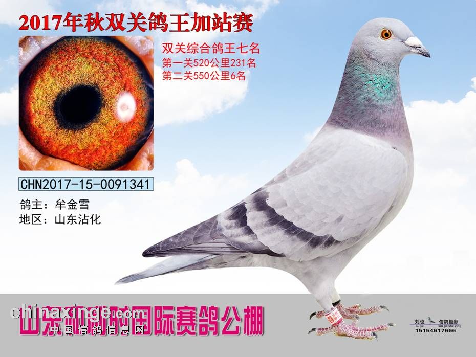 17����ʱ���������ٰ������׵�