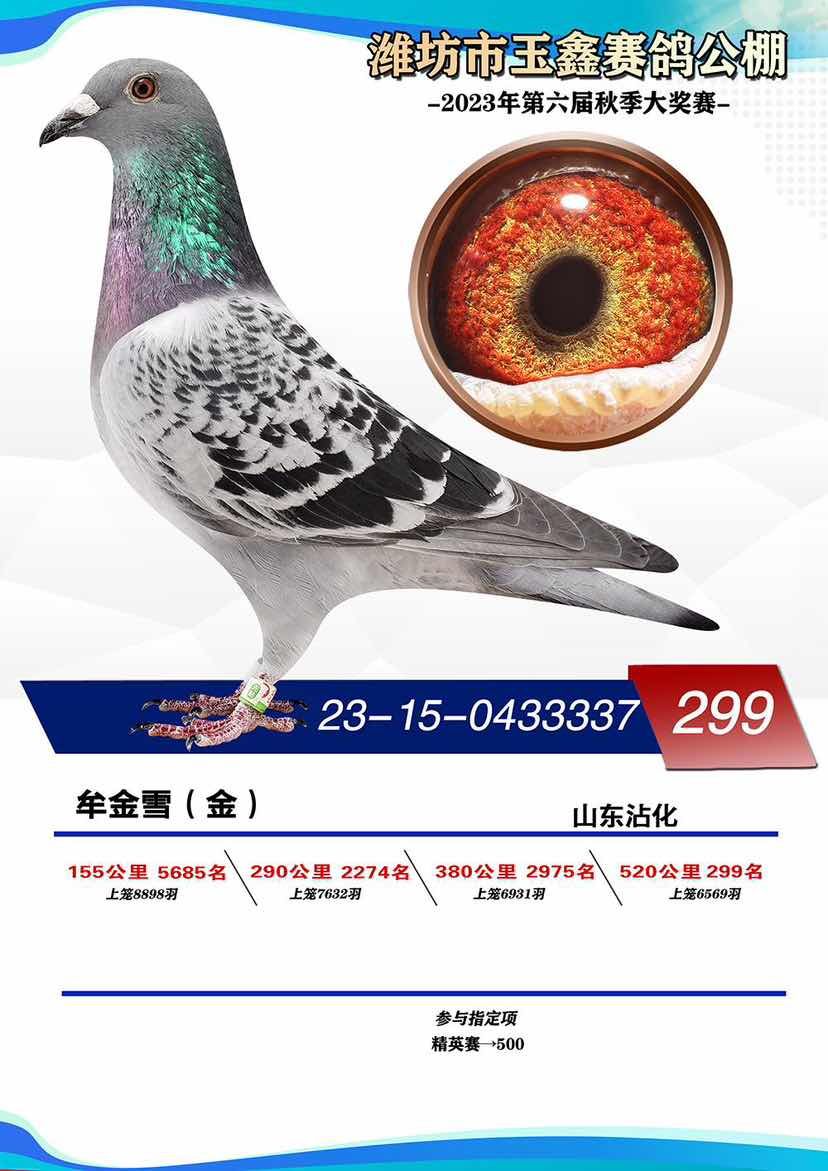 23�����ξ���299��