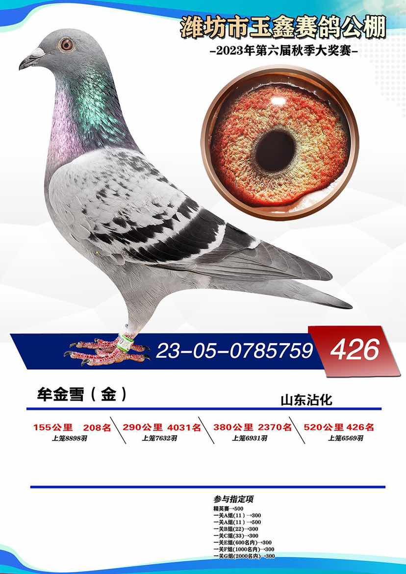 23�����ξ���426������ղɭ