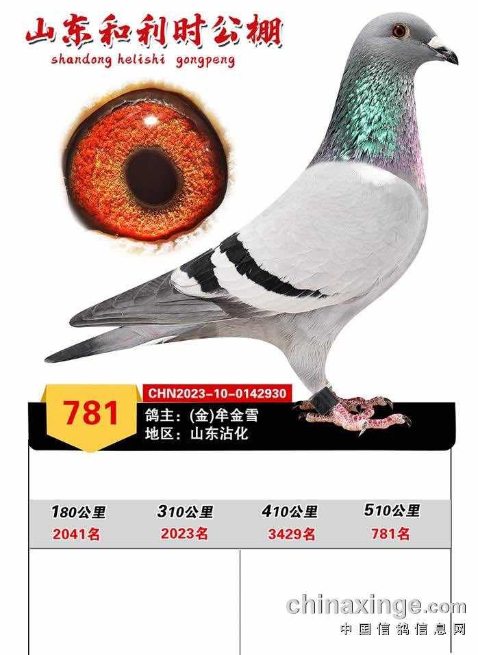 23�����ʱ����781�������ٰ���