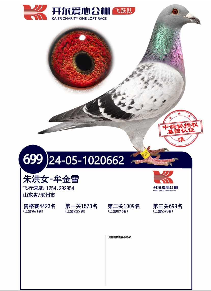 24�꿪����Ծ�Ӿ���699��