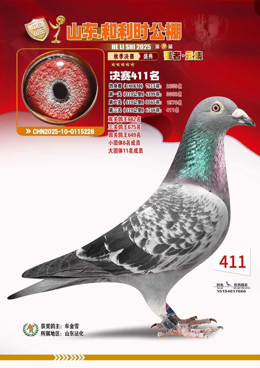 ����ʱ����411���ٰ���ʨ����