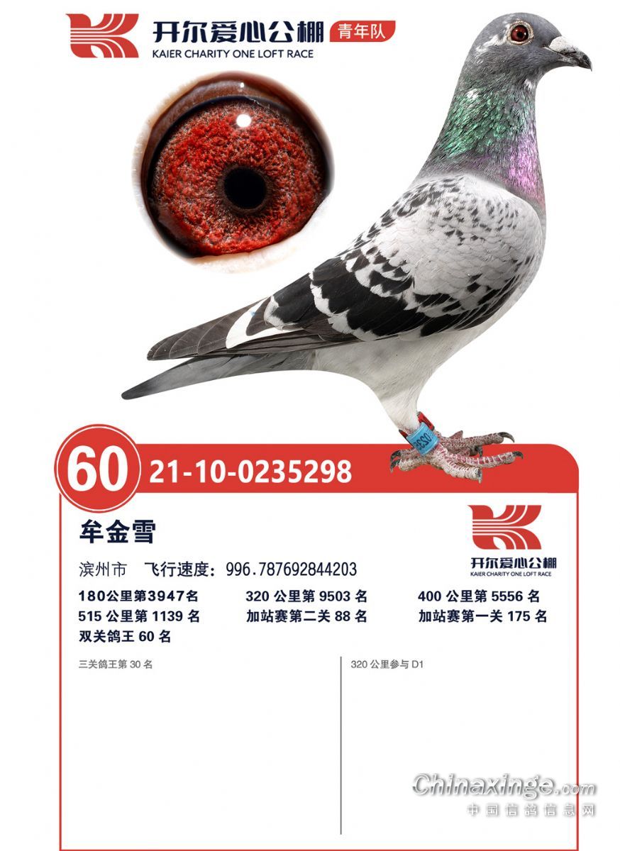 ���꿪��˫�ظ���60�����ظ���30��