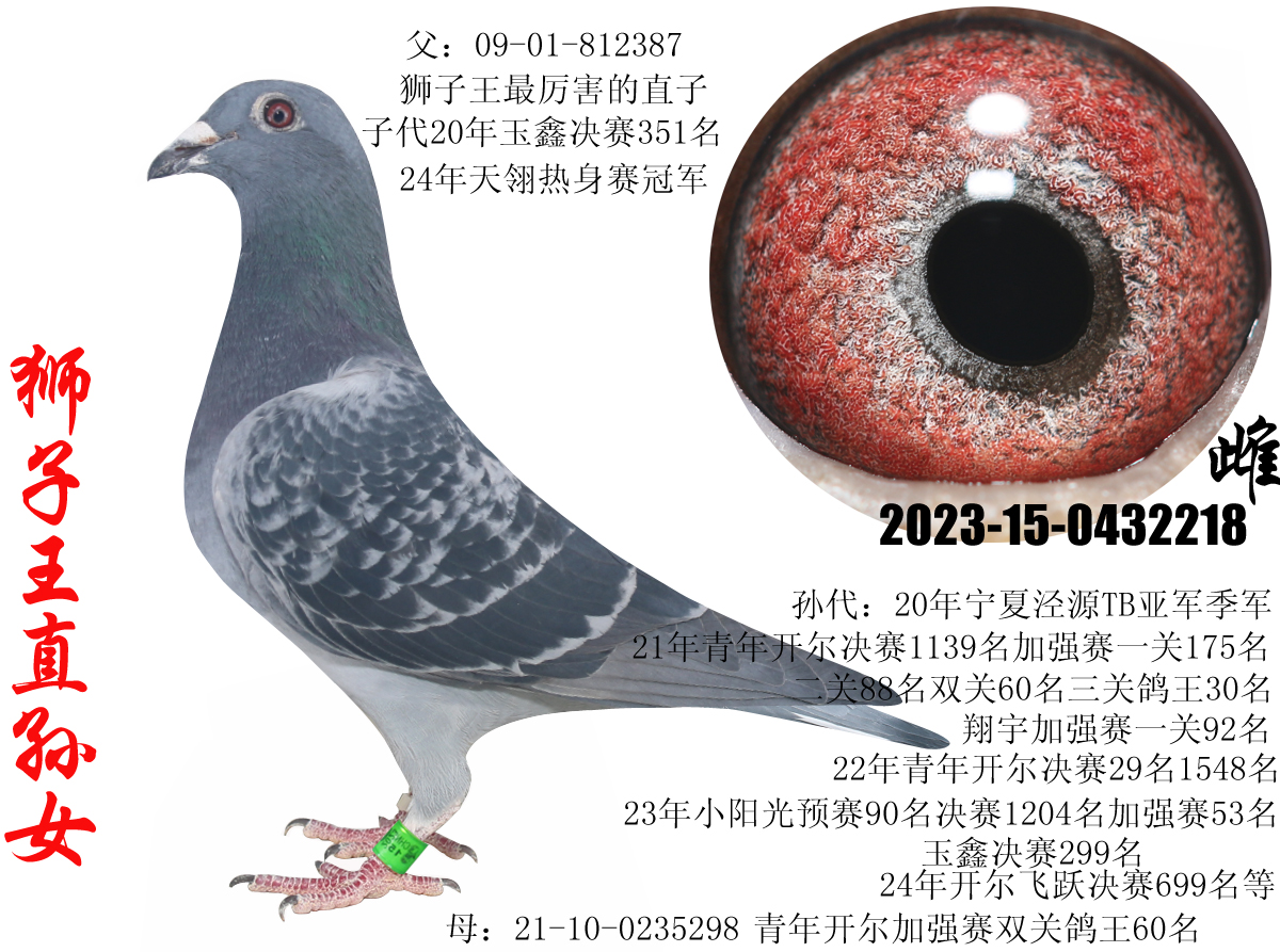 ʨ������ߴ�ʨ����ֱ�Ӵ�ֱ��Ů18