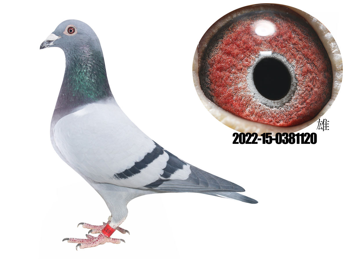 �漣32ֱ������ֱ��Ů��������