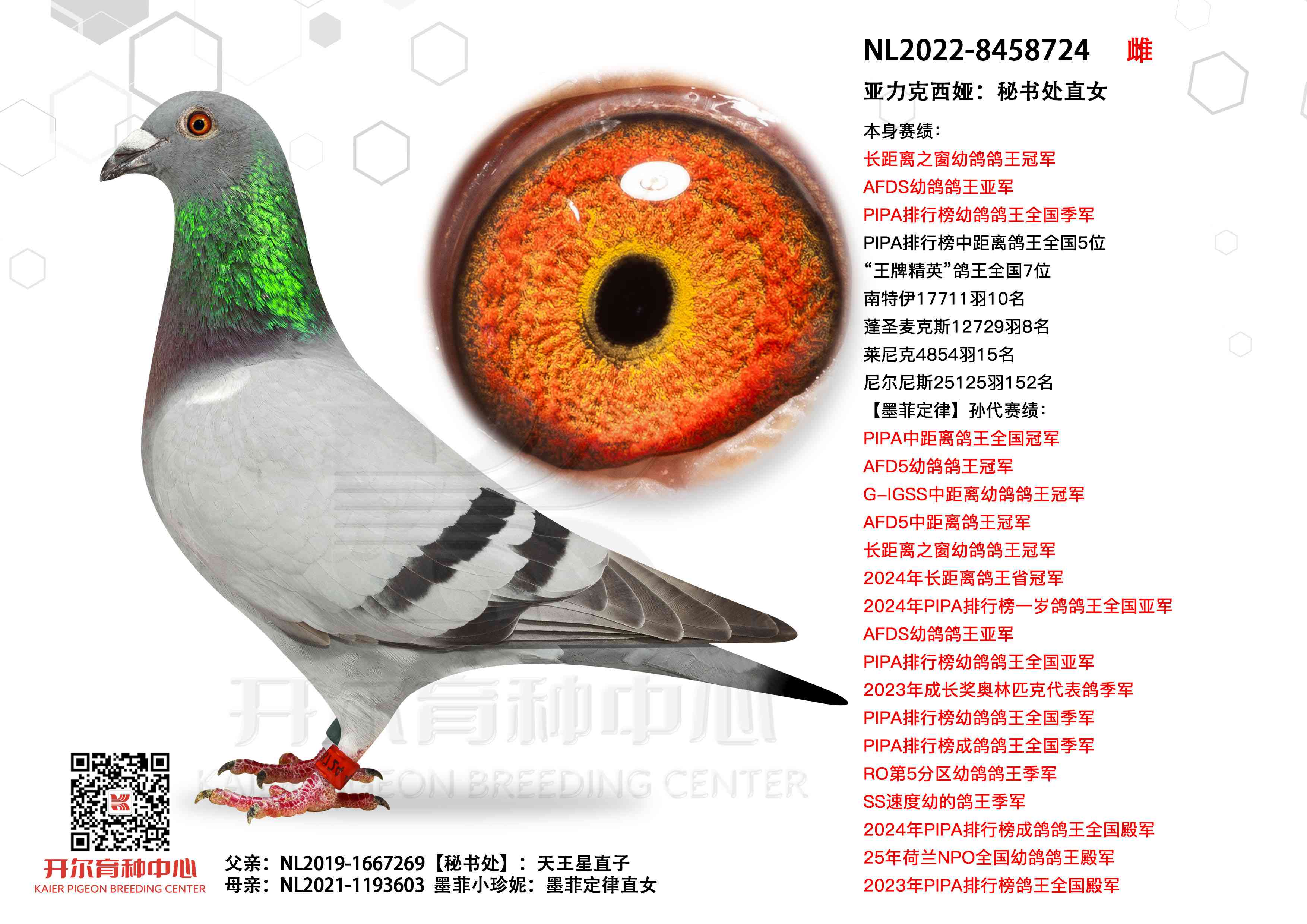 ��������櫣����鴦ֱŮ