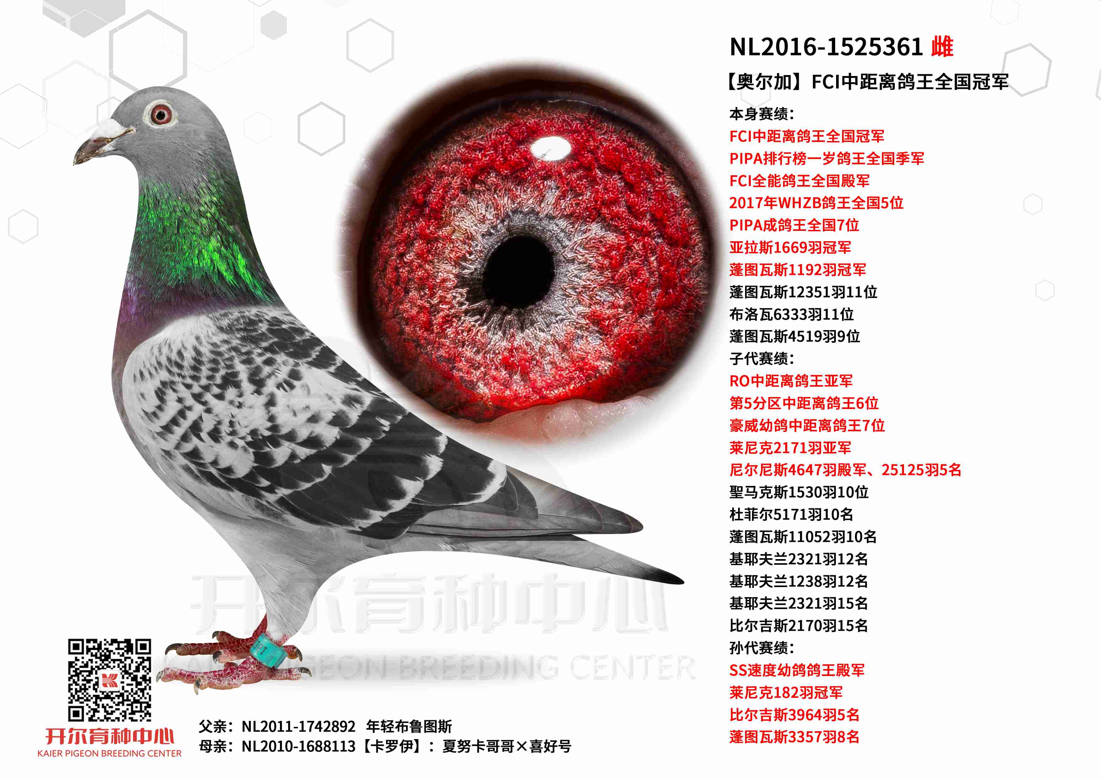 ���¶��ӡ�FCI�о������ȫ���ھ�