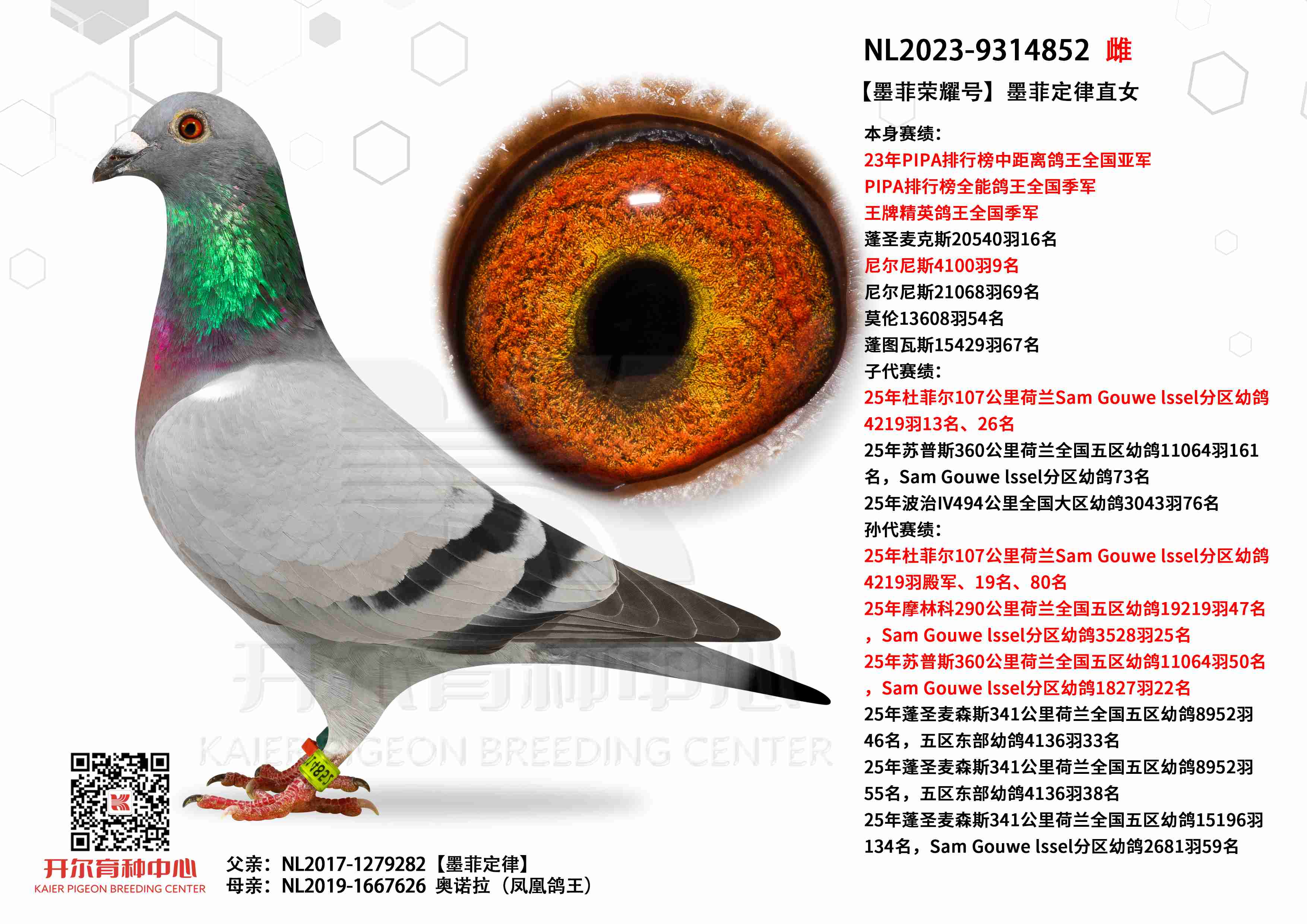 ��ī����ҫ�š�PIPA�о������ȫ���Ǿ�