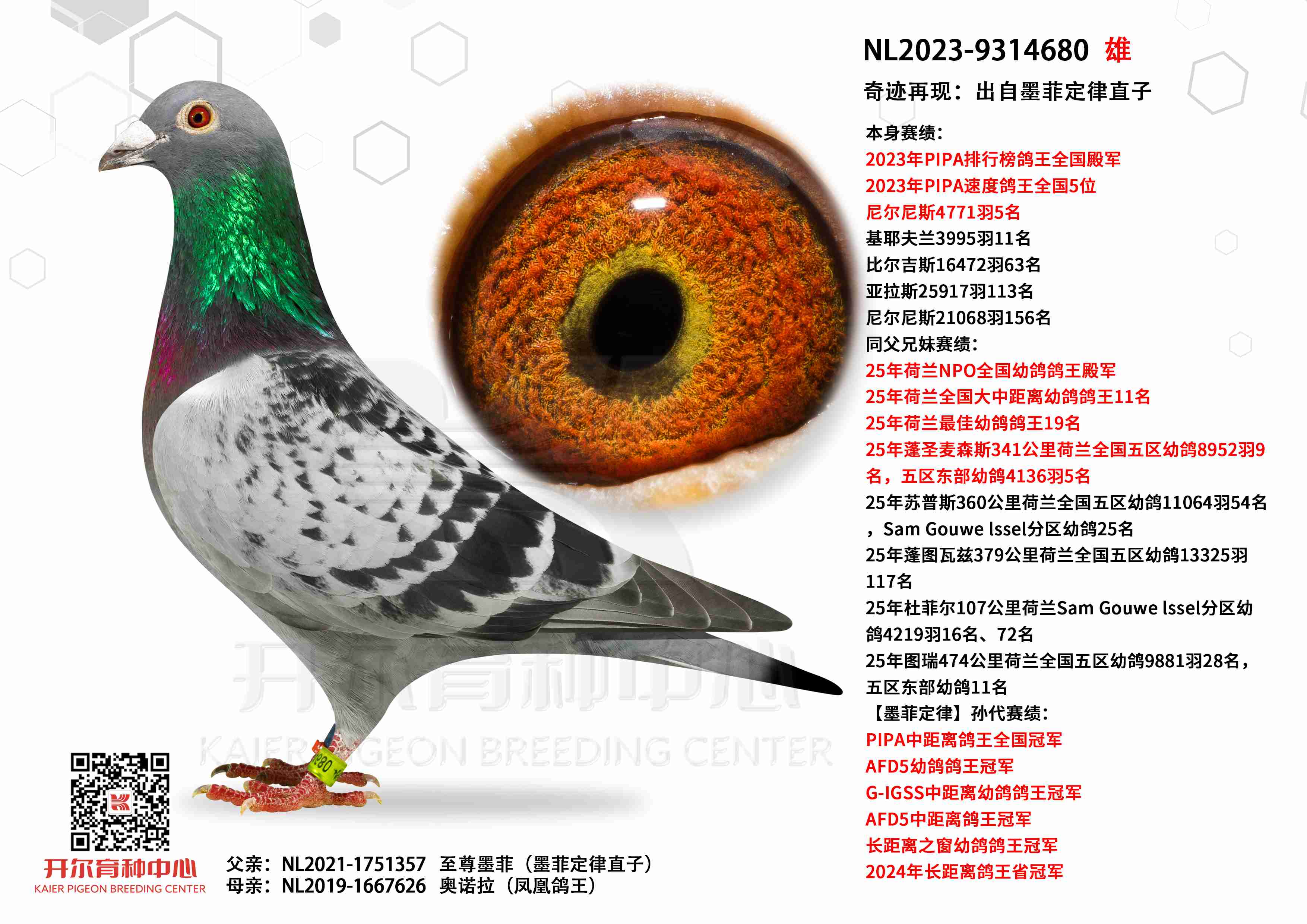 �漣���֣�PIPA����ȫ�����