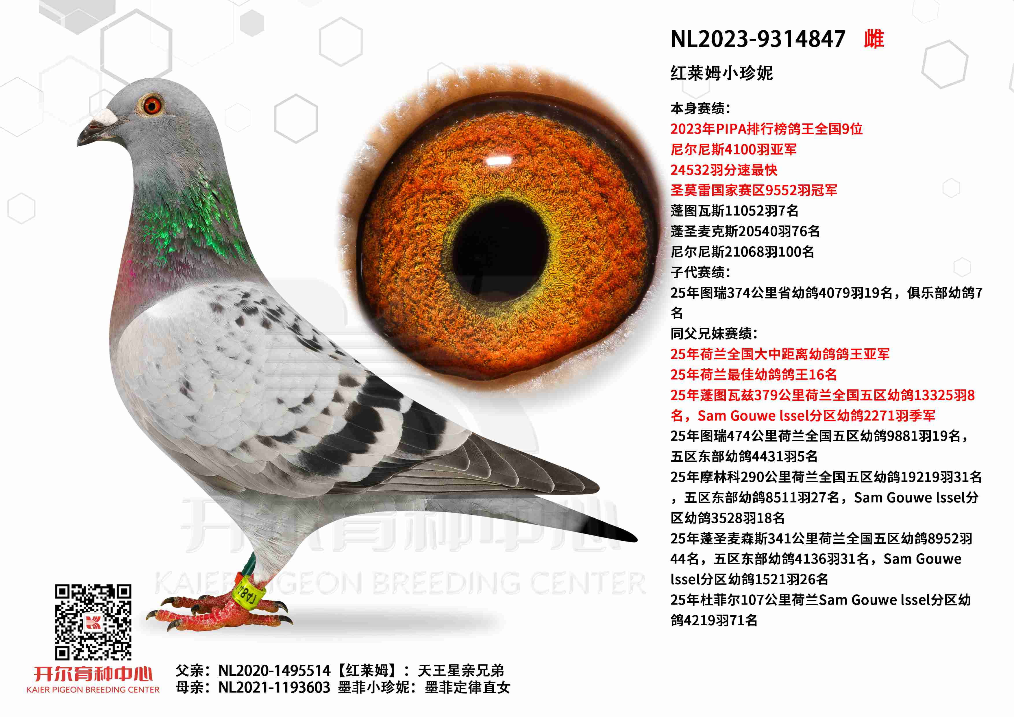 ����ķС���ݣ�23��PIPA����ȫ��9λ