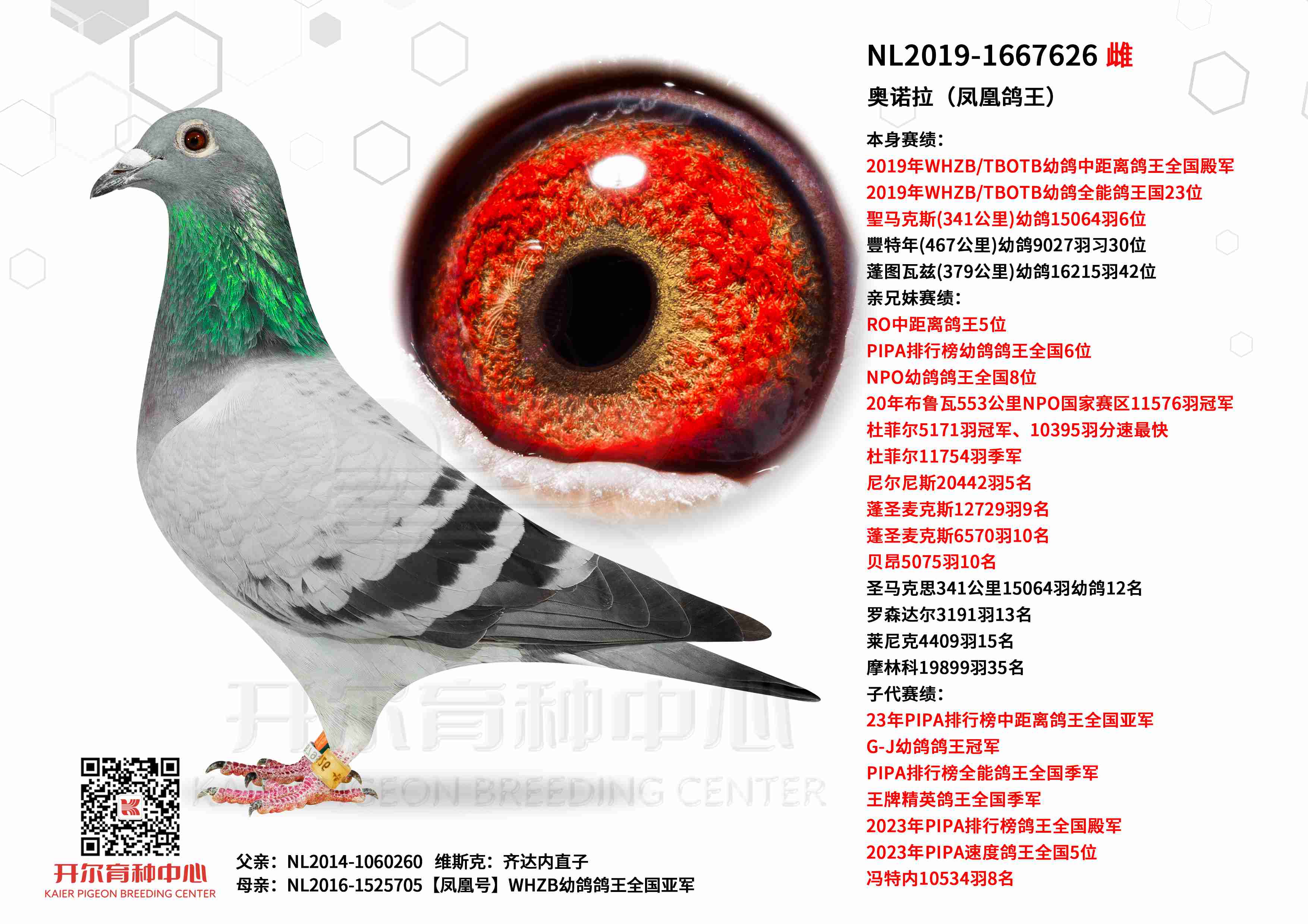 ��ŵ����WHZB�׸��о������ȫ�����