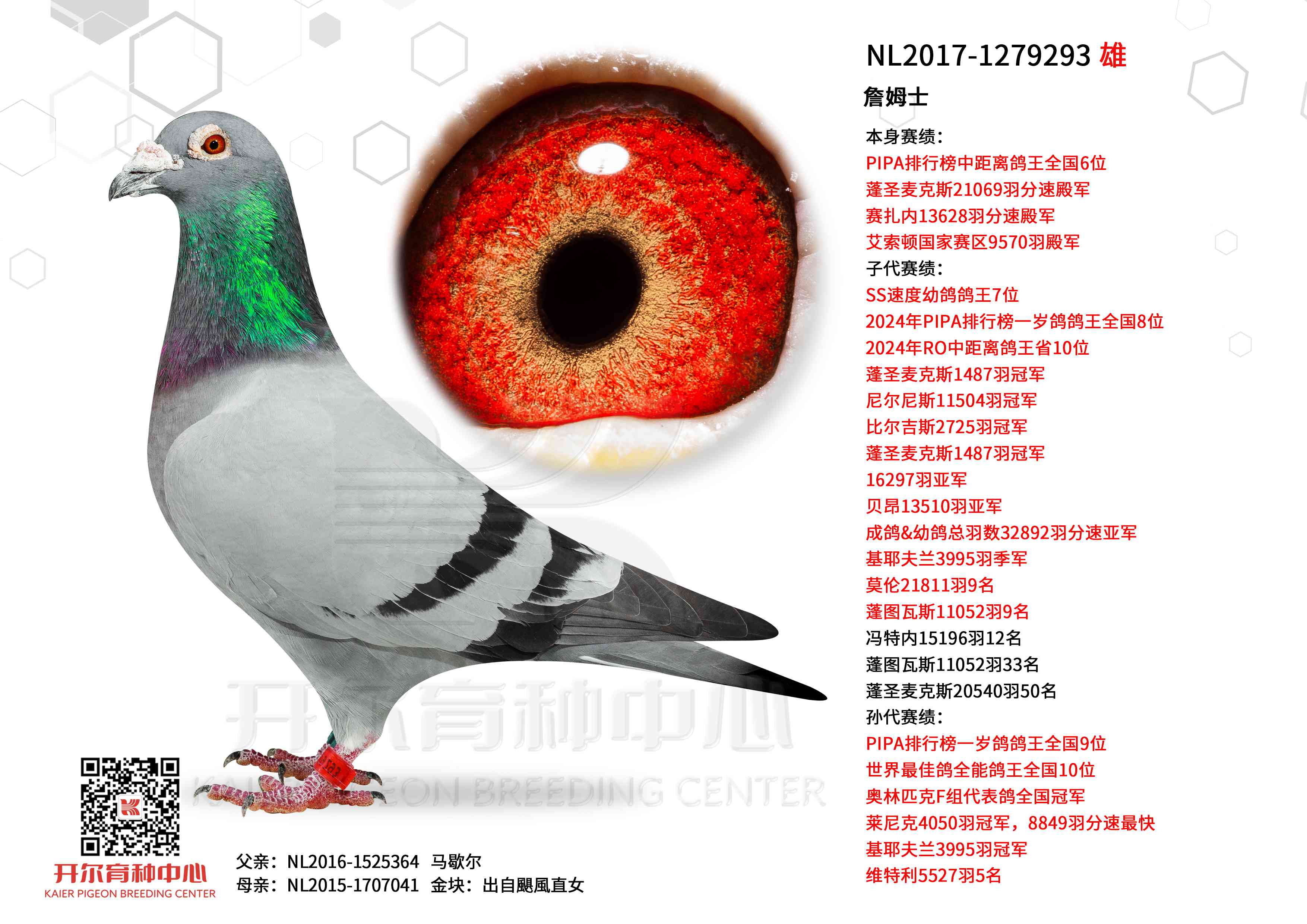 ղķʿ��PIPA�о������ȫ��6λ