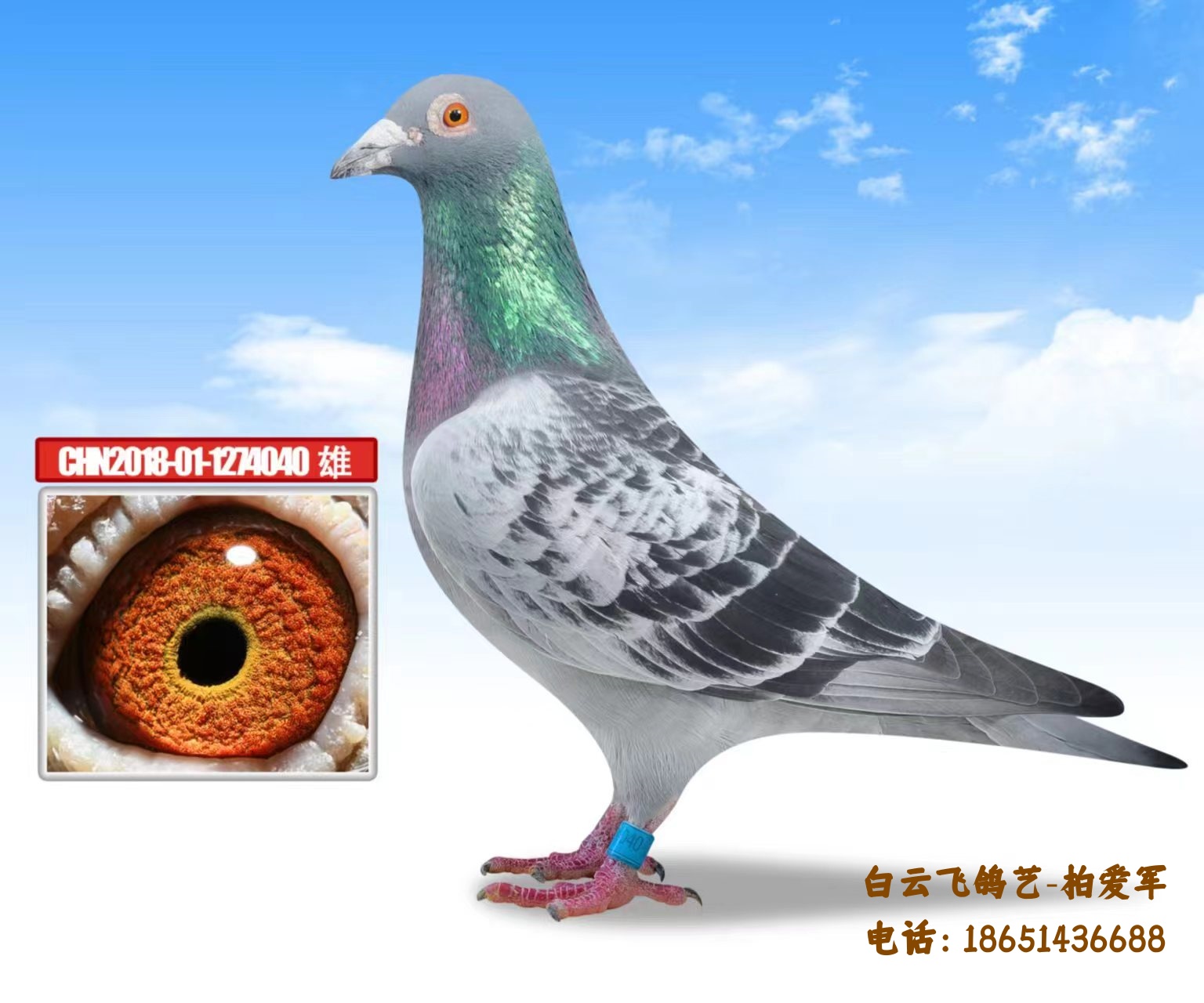 ը������3��