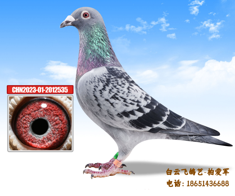 ը������5��